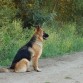paseo matutino.